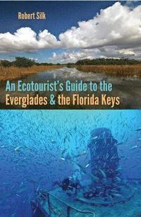 bokomslag An Ecotourist's Guide to the Everglades and the Florida Keys