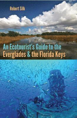 Robert Silk - Ecotourist's Guide to the Everglades and the Florida Keys, Häftad