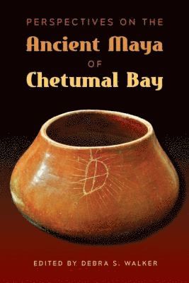 bokomslag Perspectives on the Ancient Maya of Chetumal Bay