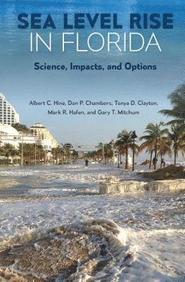 bokomslag Sea Level Rise in Florida