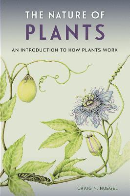 bokomslag The Nature of Plants