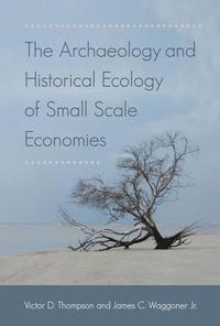 bokomslag The Archaeology and Historical Ecology of Small Scale Economies