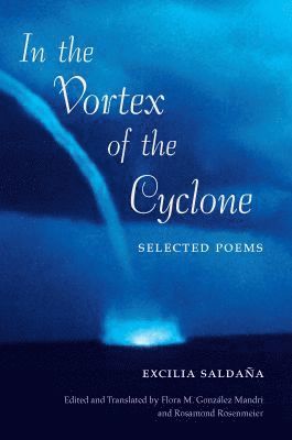bokomslag In the Vortex of the Cyclone