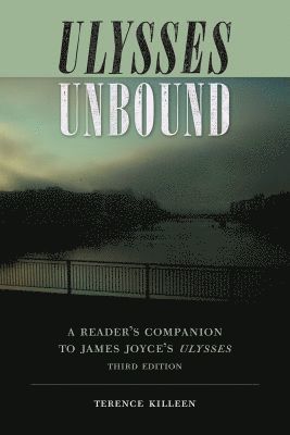 Terence Killeen - Ulysses Unbound, Häftad
