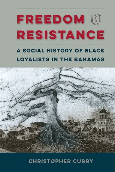 Christopher Curry - Freedom and Resistance, Häftad