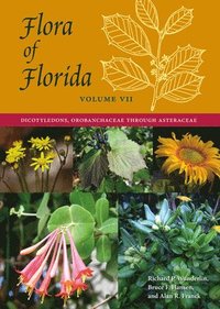 bokomslag Flora of Florida, Volume VII