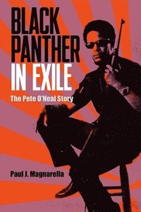bokomslag Black Panther in Exile