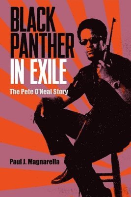 Black Panther in Exile 1