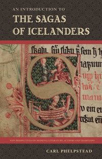 bokomslag An Introduction to the Sagas of Icelanders