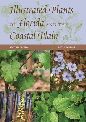 bokomslag Illustrated Plants of Florida and the Coastal Plain