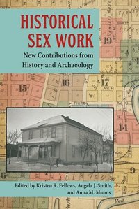 bokomslag Historical Sex Work