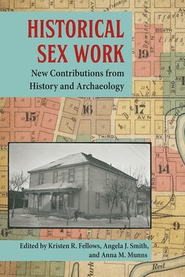 bokomslag Historical Sex Work