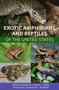 bokomslag Exotic Amphibians and Reptiles of the United States