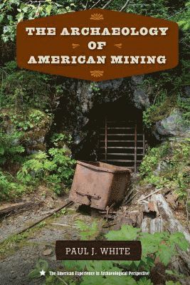 bokomslag Archaeology of American Mining