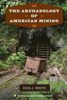 The Archaeology of American Mining 1