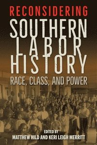 bokomslag Reconsidering Southern Labor History