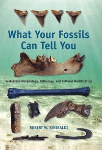 bokomslag What Your Fossils Can Tell You