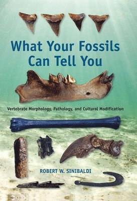What Your Fossils Can Tell You 1