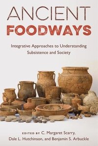 bokomslag Ancient Foodways