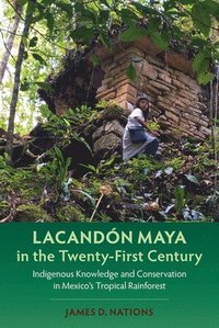 bokomslag Lacandn Maya in the Twenty-First Century