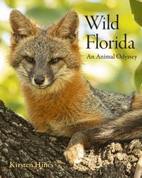 bokomslag Wild Florida