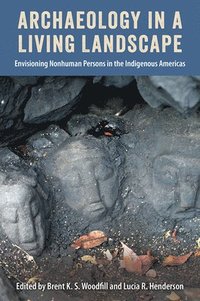bokomslag Archaeology in a Living Landscape