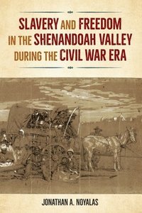bokomslag Slavery and Freedom in the Shenandoah Valley during the Civil War Era