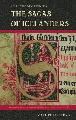 bokomslag An Introduction to the Sagas of Icelanders