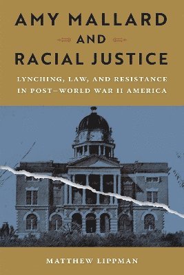 bokomslag Amy Mallard and Racial Justice