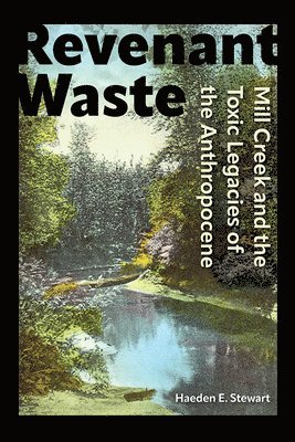 Revenant Waste