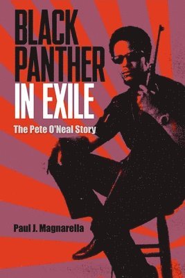 Paul J. Magnarella - Black Panther in Exile, Häftad