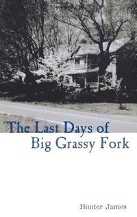 bokomslag The Last Days of Big Grassy Fork