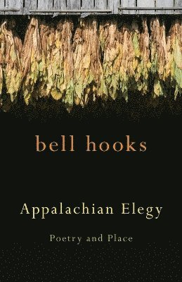 bokomslag Appalachian Elegy