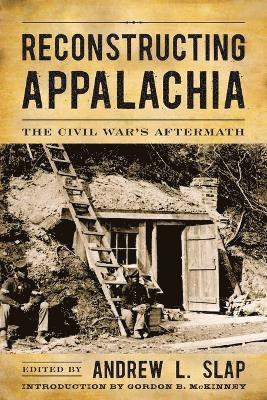 bokomslag Reconstructing Appalachia