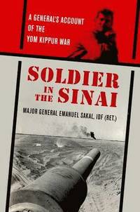 bokomslag Soldier in the Sinai