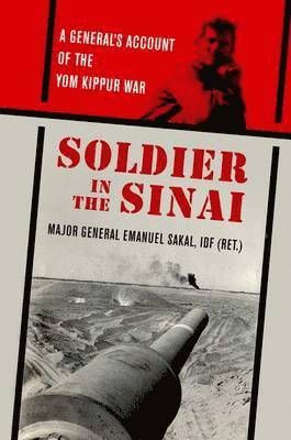 Soldier in the Sinai 1