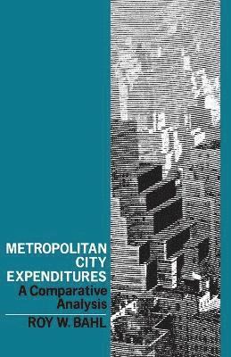 Metropolitan City Expenditures 1