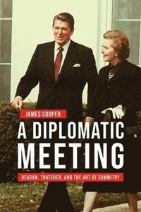 bokomslag A Diplomatic Meeting