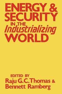 bokomslag Energy and Security in the Industrializing World