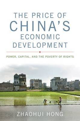 Zhaohui Hong - Price of China's Economic Development, Inbunden