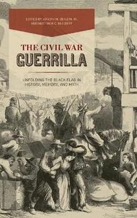 bokomslag The Civil War Guerrilla