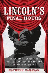 bokomslag Lincoln's Final Hours