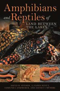 bokomslag Amphibians and Reptiles of Land Between the Lakes