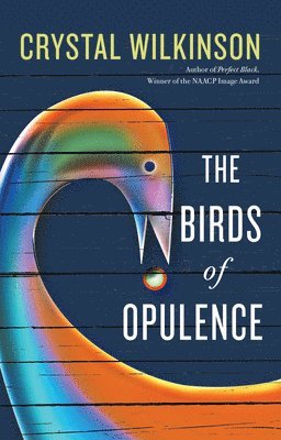 bokomslag Birds of Opulence