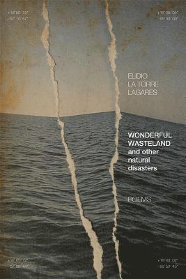 Wonderful Wasteland and other natural disasters