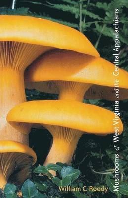 William C. Roody - Mushrooms of West Virginia and the Central Appalachians, Häftad