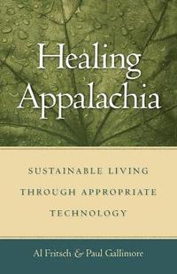 bokomslag Healing Appalachia