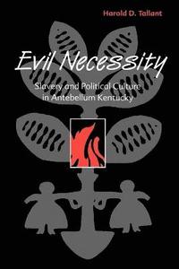 bokomslag Evil Necessity