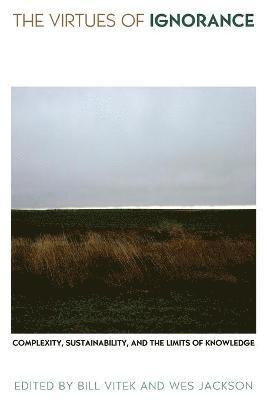 Virtues of Ignorance