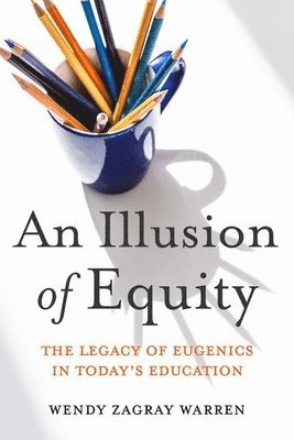 bokomslag Illusion of Equity